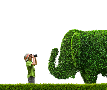 A boy next to a camping tent looks through binoculars towards an elephant-shaped hedge