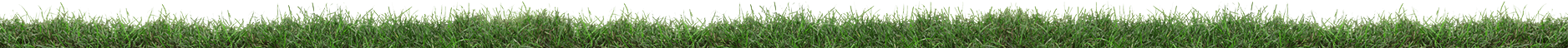 grass